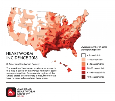 Heartworm Map 2013