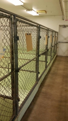 Kennels